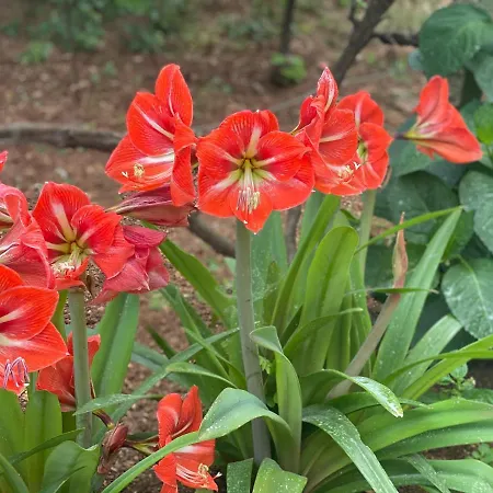 Pararse Casa vacanze *