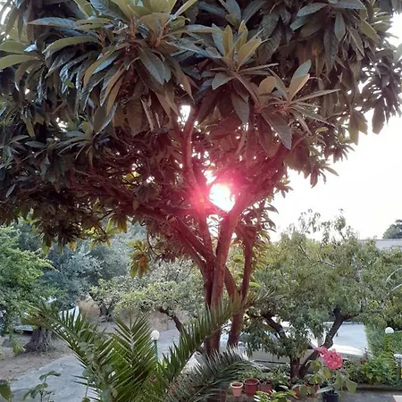 Hébergement de vacances Pararse