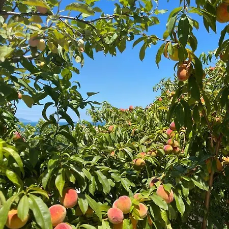 Ferienhaus Pararse *